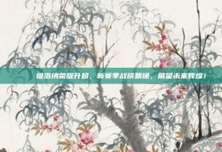 🎉 维洛纳荣耀升超，新赛季战旗飘扬，展望未来辉煌！