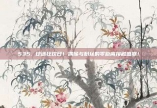 535. 球迷狂欢日！偶像与粉丝的零距离接触盛宴！