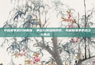 中超赛季积分榜解析，争冠与降级的博弈，揭秘新赛季的悬念与焦点📚