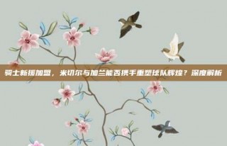 骑士新援加盟，米切尔与加兰能否携手重塑球队辉煌？深度解析