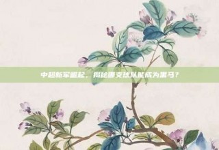 中超新军崛起，揭秘哪支球队能成为黑马？