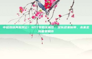 中超劲旅再掀风云！407号教练离任，球队迎来新帅，未来走向备受期待