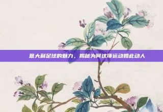 💖意大利足球的魅力，揭秘为何这项运动如此动人