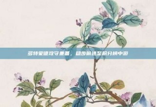 多特蒙德攻守兼备，稳步前进至积分榜中游