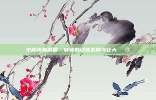 中超未来展望，联赛的继续发展与壮大🔮