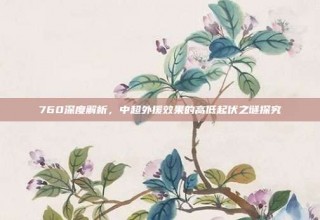 760深度解析，中超外援效果的高低起伏之谜探究