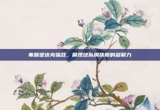 弗赖堡连克强敌，展现球队钢铁般的凝聚力