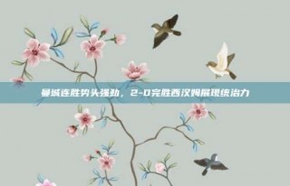 曼城连胜势头强劲，2-0完胜西汉姆展现统治力