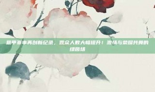 意甲赛事再创新纪录，观众人数大幅提升！激情与荣耀共舞的绿茵场