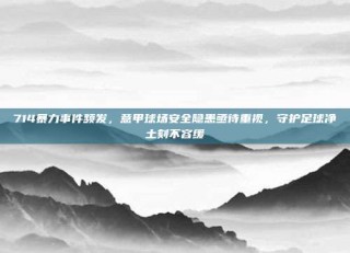 714暴力事件频发，意甲球场安全隐患亟待重视，守护足球净土刻不容缓