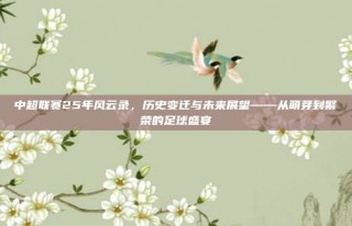 中超联赛25年风云录，历史变迁与未来展望——从萌芽到繁荣的足球盛宴