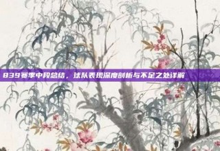 839赛季中段总结，球队表现深度剖析与不足之处详解 📉🔍