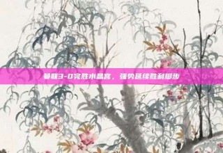 曼联3-0完胜水晶宫，强势延续胜利脚步