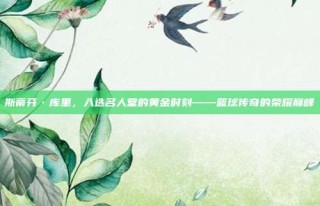 斯蒂芬·库里，入选名人堂的黄金时刻——篮球传奇的荣耀巅峰