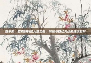 查尔斯·巴克利的名人堂之夜，荣耀与回忆交织的璀璨时刻