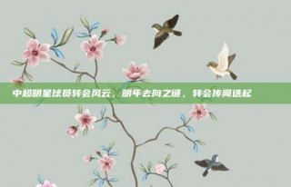 中超明星球员转会风云，明年去向之谜，转会传闻迭起 🗞️