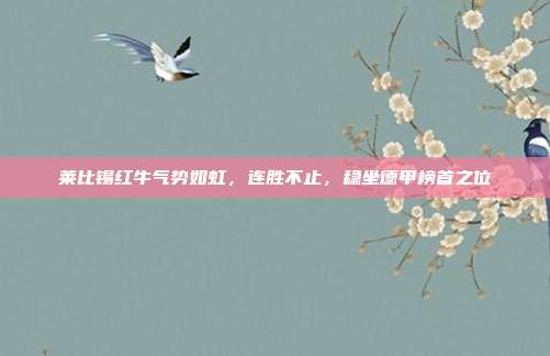 莱比锡红牛气势如虹，连胜不止，稳坐德甲榜首之位  第1张