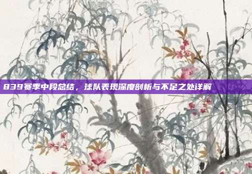 839赛季中段总结，球队表现深度剖析与不足之处详解 📉🔍  第1张